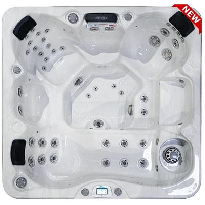 Avalon-X EC-849LX hot tubs for sale in Stamford