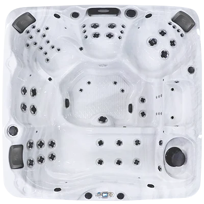 Avalon EC-867L hot tubs for sale in Stamford
